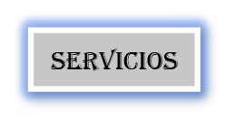 boton de servicios